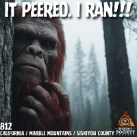 Screaming Through the Trees: What She Saw in the Marble Mountains