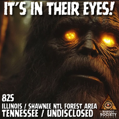Bigfoot Society