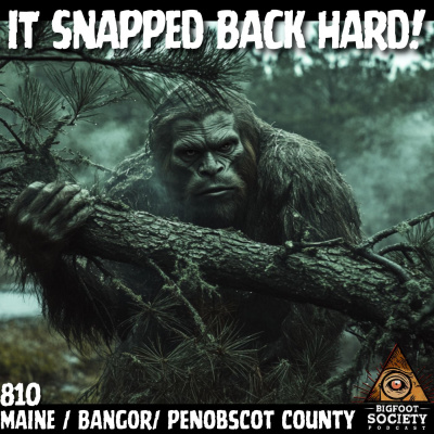 Bigfoot Society