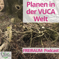 Planen in der VUCA Welt