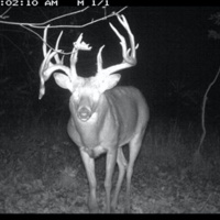 Hunter Profile Podcast | Devin Phenix