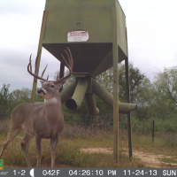 Hunter Profile Podcast | Thomas Hajduk