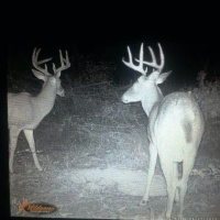 Hunter Profile Podcast | Lance Catfish Haymond