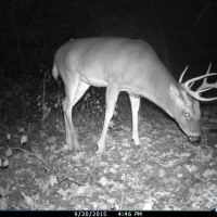 Hunter Profile Podcast | Ross Payne