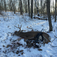 Hunter Profile Podcast | Tony Holinka