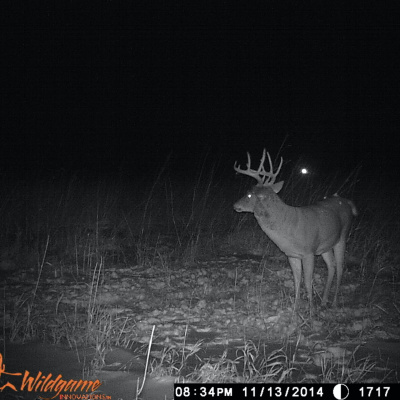 Nine Finger Chronicles | Sportsmens Nation