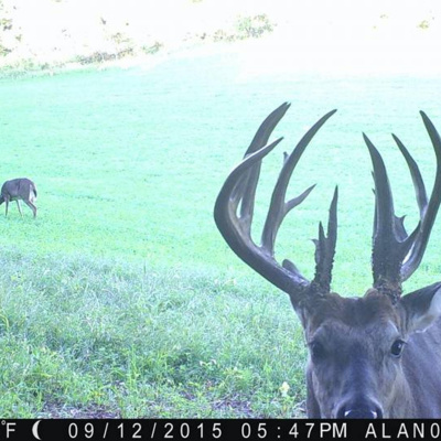 Nine Finger Chronicles | Sportsmens Nation