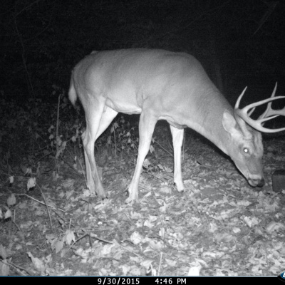 Nine Finger Chronicles | Sportsmens Nation