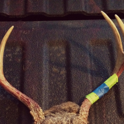 Nine Finger Chronicles | Sportsmens Nation