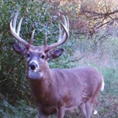 Nine Finger Chronicles | Sportsmens Nation