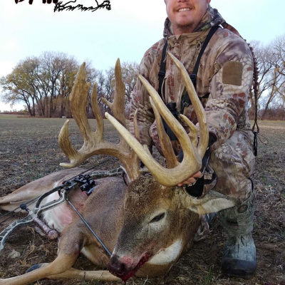 Bowhunting Mature Whitetail