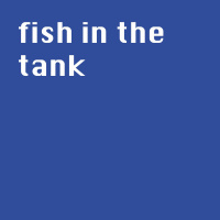 Ep3 djpurn fish in the tank