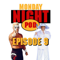 Episode 9: Hulk Hogan and His Homeless Friends WWF Raw #134 vs WCW Monday Nitro #10