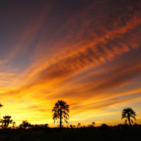 A Year in a Namibian Village | Dr Helen John