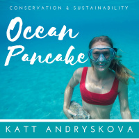 32 : How is Covid-19 Impacting the Environment and Eco Activism?