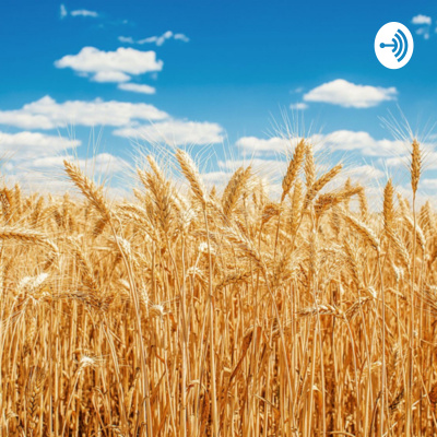 Tall Tales Uncovered