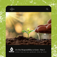 It’s Our Responsibility to Grow - Part 3 (Making Every Effort)