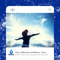 Peace, Edification, and Holiness - Part 2 (Making Every Effort)