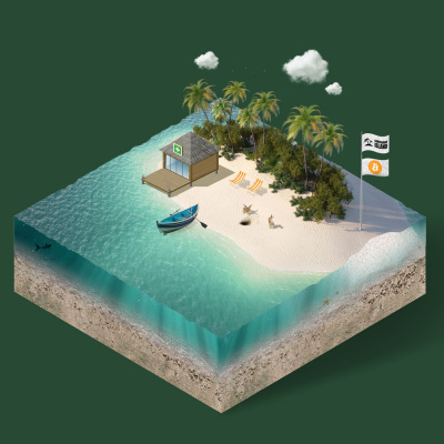 Contrarian Island