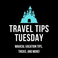 Episode # 129 - Top Tips for that Perfect First Trip to Walt Disney World