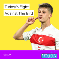 Türkiye vs. The Turkey Bird | Rebranding the Ay-Yıldızlılar