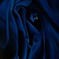 Episode 15: Blue Flower - Switzerland, Spain and Ireland