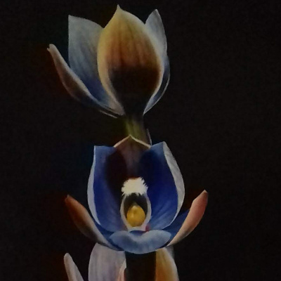 Inky Leaves Podcasting - An Audio Sketchbook