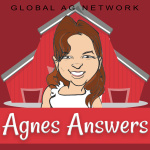 Agnes Answers