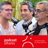 A história visual da Mata Atlântica, com Ricardo Cardim e Cássio Vasconcellos