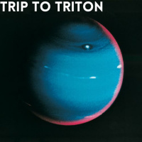 Trip To Triton [Atmospheric Jungle Mix)