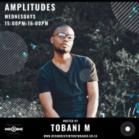 AMPLITUDES BY TOBANI.M