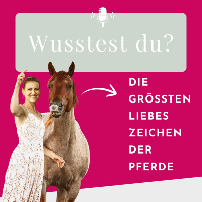 Pferdeflüsterei To Go! Für Pferdemenschen Mit Herz