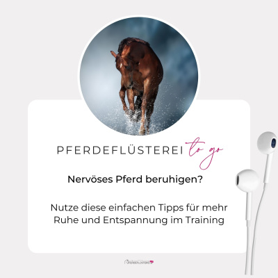 Pferdeflüsterei To Go! Für Pferdemenschen Mit Herz