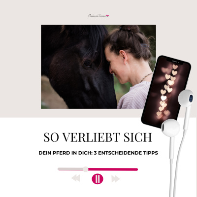 Pferdeflüsterei To Go! Für Pferdemenschen Mit Herz