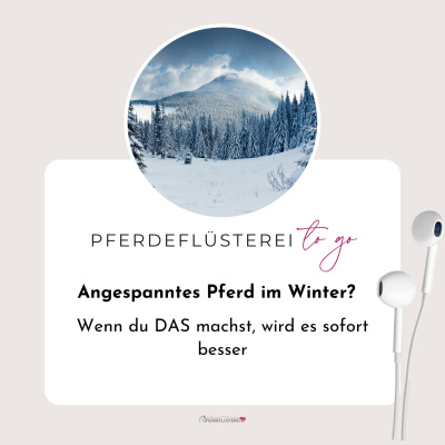 Pferdeflüsterei To Go! Für Pferdemenschen Mit Herz