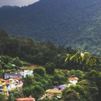 14-4: Desorden urbano.