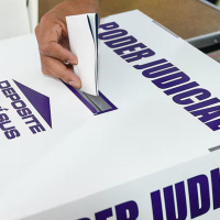 2-6: Experimento judicial.