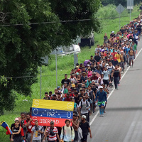 28-5: Migrantes a la inversa.