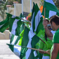 4-4: Primarias liberacionistas.