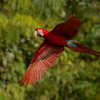 15-9: 204 años de Independencia.