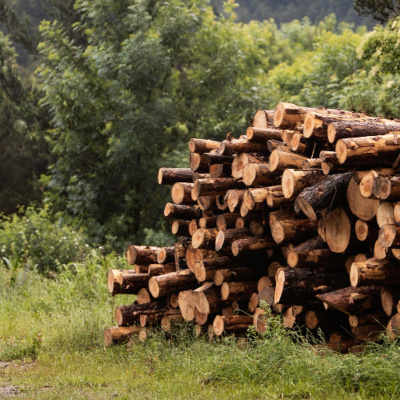 Hablando Claro Con Vilma Ibarra