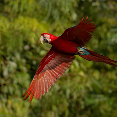 Hablando Claro Con Vilma Ibarra