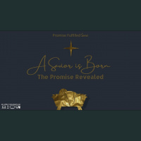 A Savior is Born -- The Promise Revealed - Pastor Tim