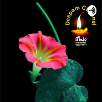 എ ഫേഫാ =തുറക്കപ്പെടട്ടെ
