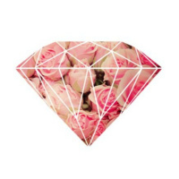 Isadora • Extracto I