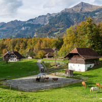 Peter Haffner: «Meine Heimat liegt im New Journalism»