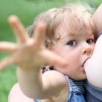 La lactancia materna prolongada y el momento del destete