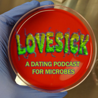 Pseudomonas aeruginosa