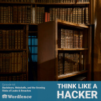 Episode 64: Backdoors, Webshells, and the Growing Risks of Leaks  Breaches
