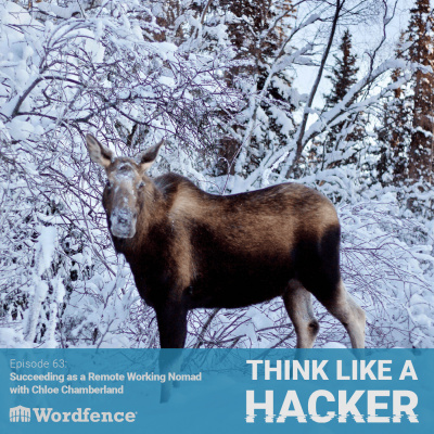 Think Like A Hacker With Wordfence